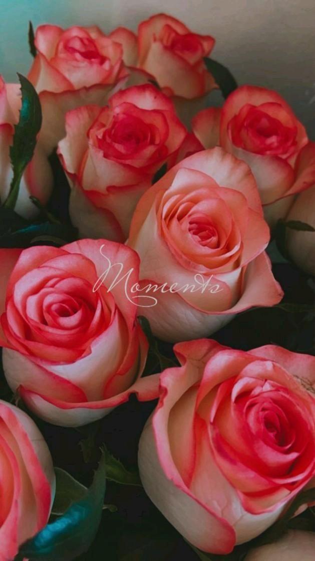 Elegant floral arrangement in a contemporary corporate setting